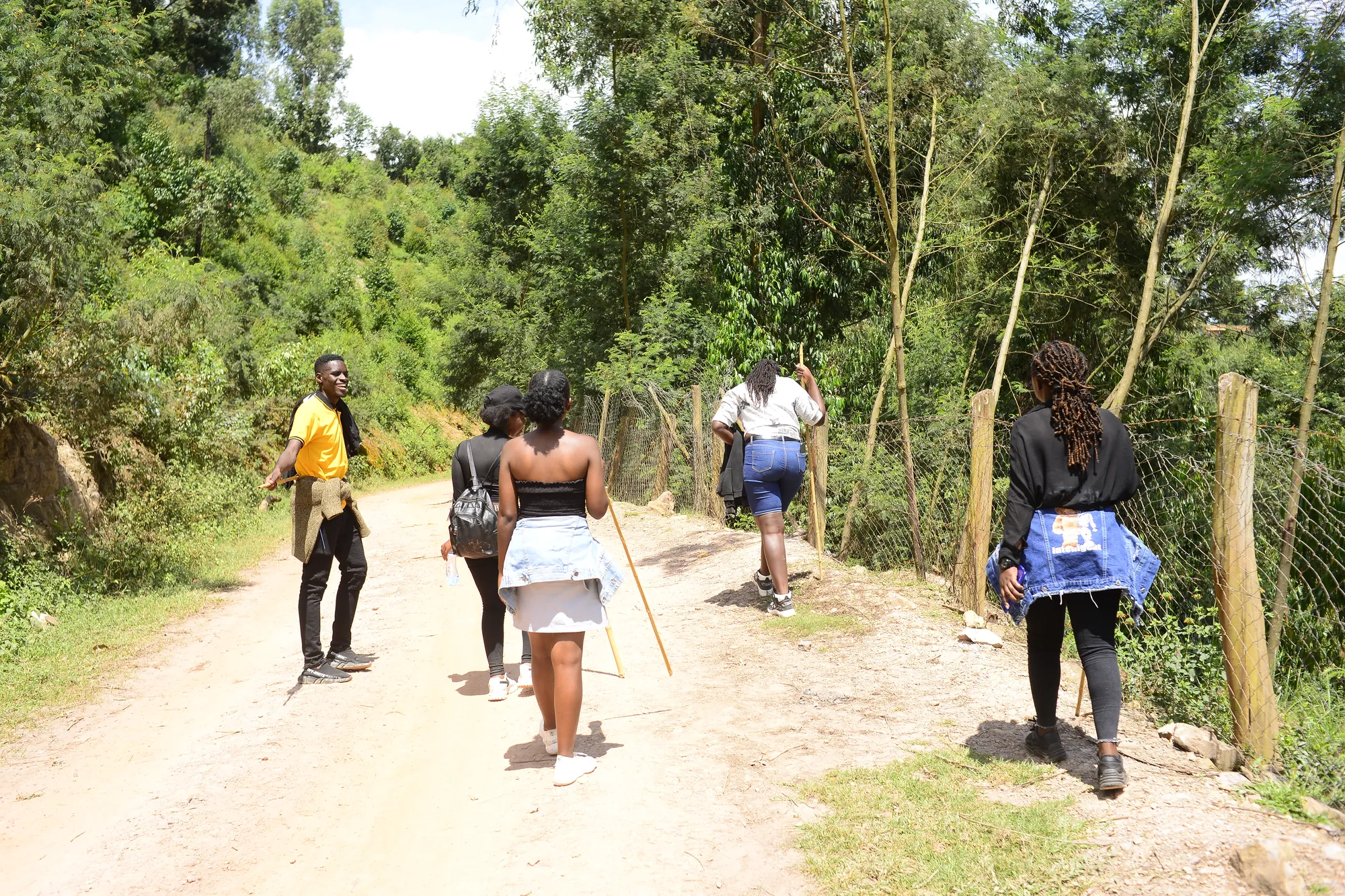 Hikers with walking sticks on a dirt track between trees above Lake Bunyonyi