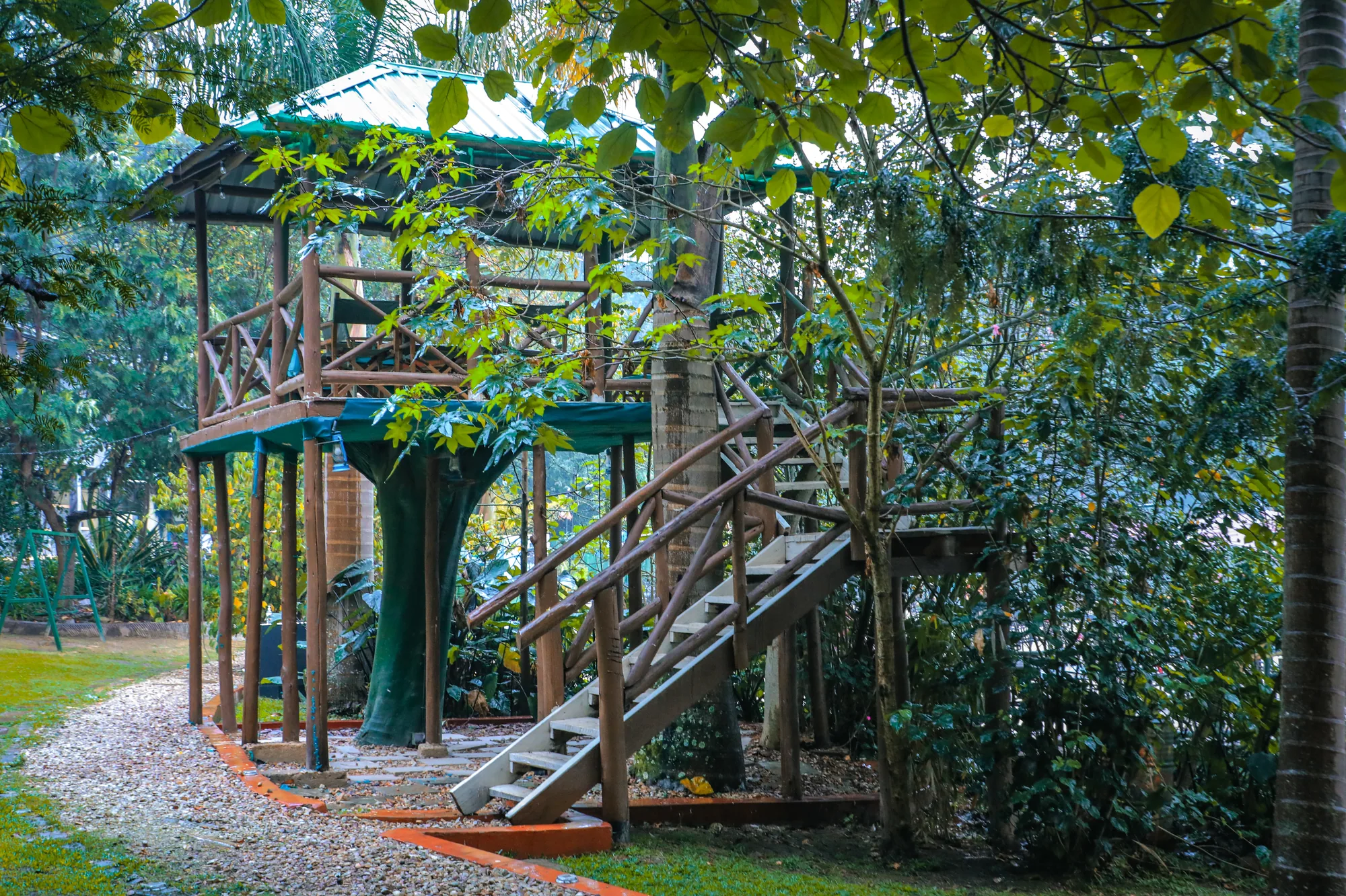 The timber tree-house platform with its staircase, built around a tree in the resort grounds