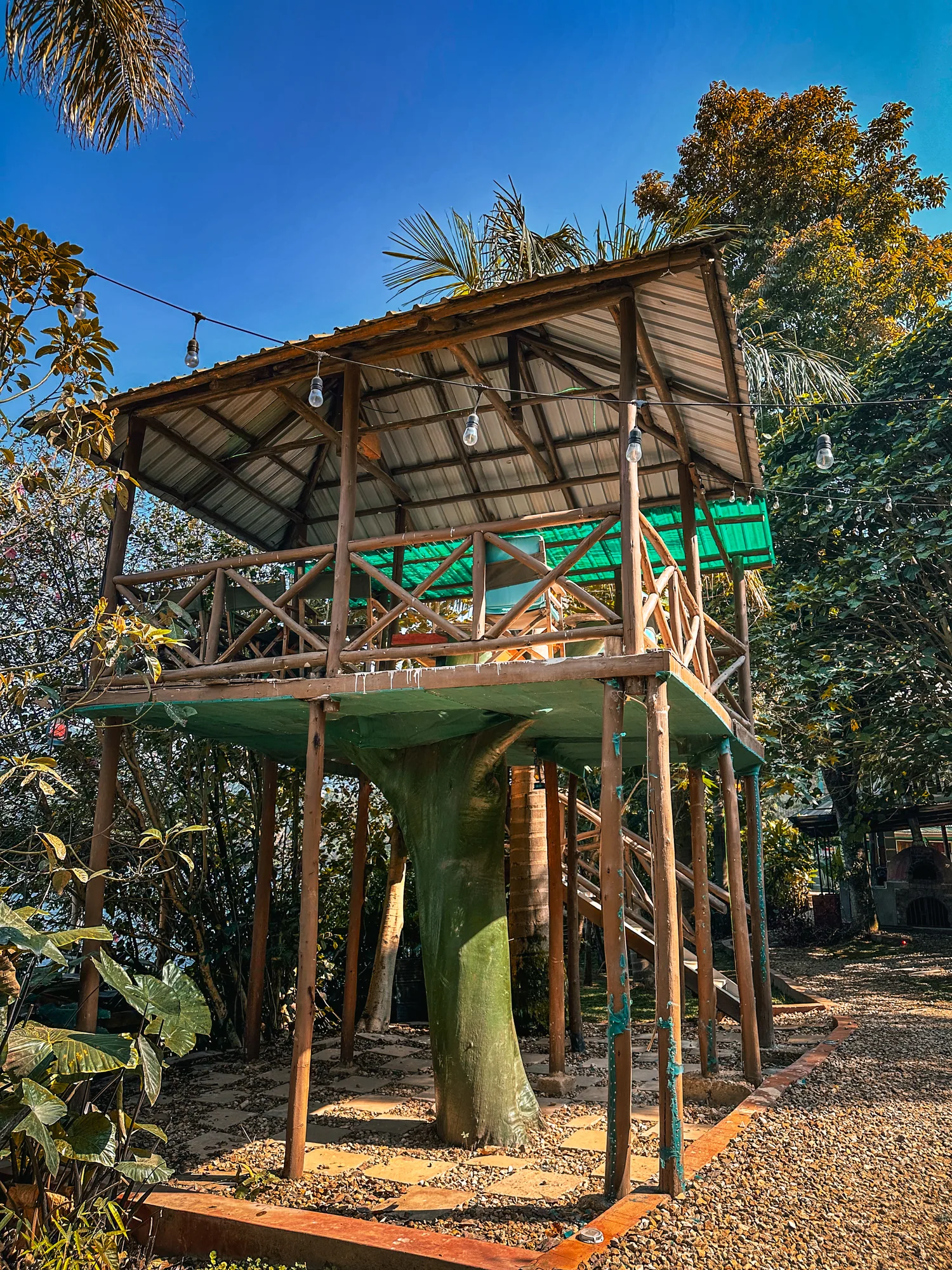 The raised tree-house deck with its thatched-edge roof against a clear blue sky