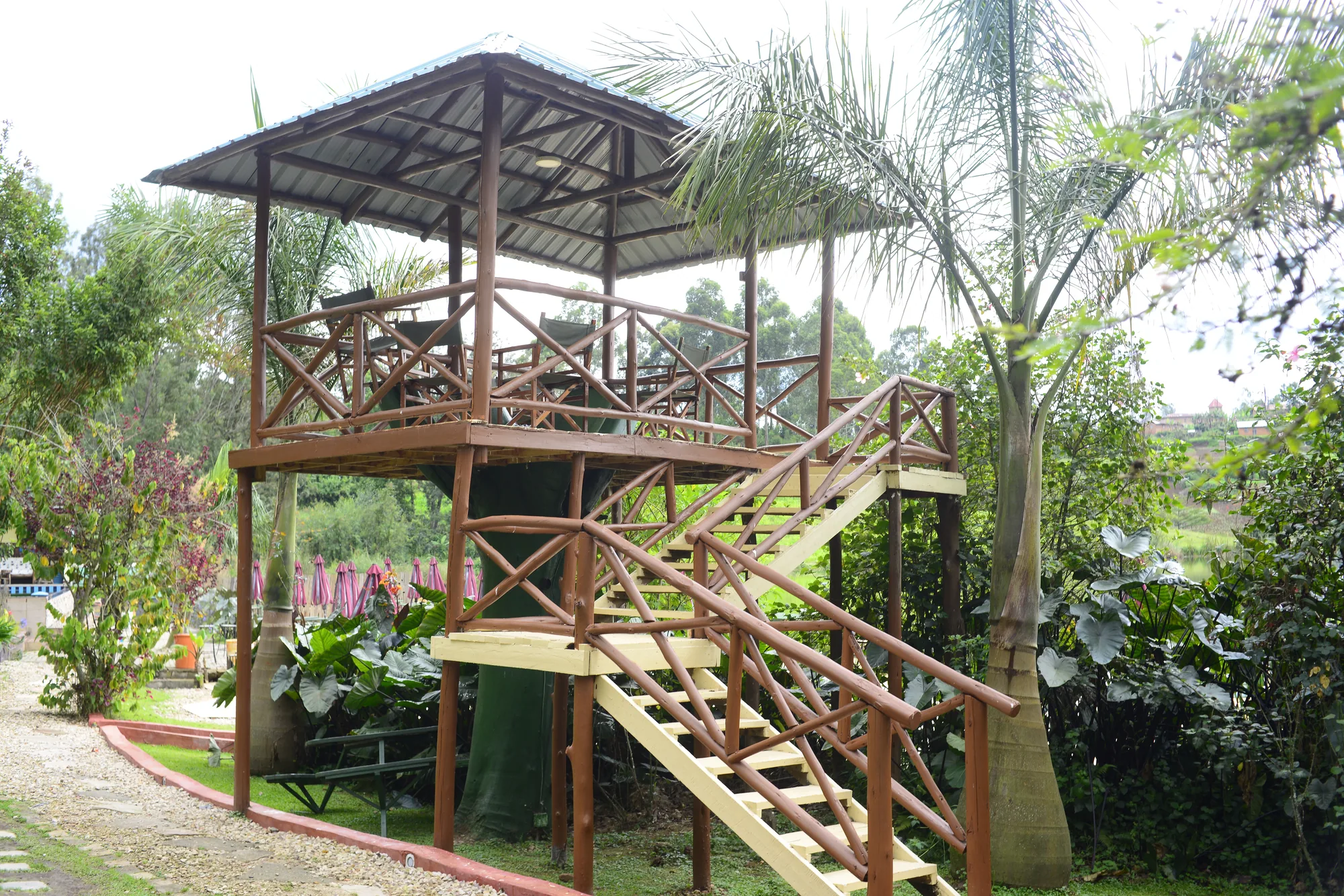 The two-storey timber tower of the tree house among palms and shrubs