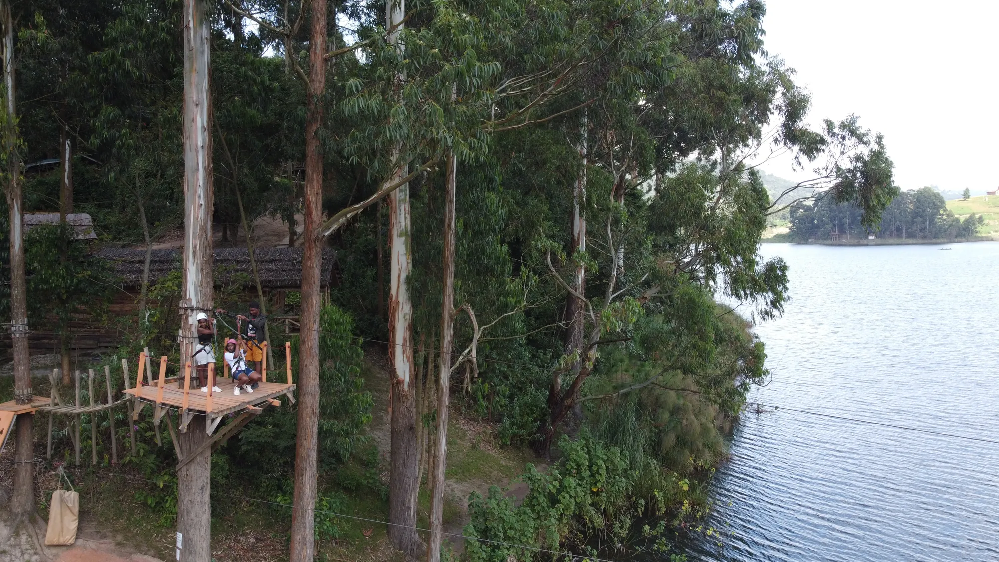 The zip-line platform high in the eucalyptus trees with the lake stretching away behind