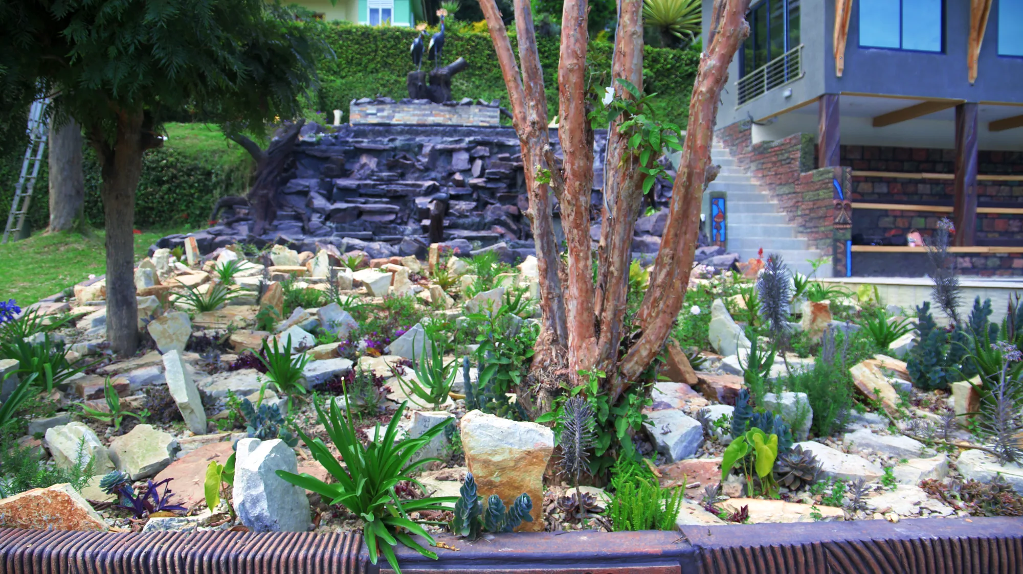 A rockery garden of stones and succulents in front of the hotel block stairway