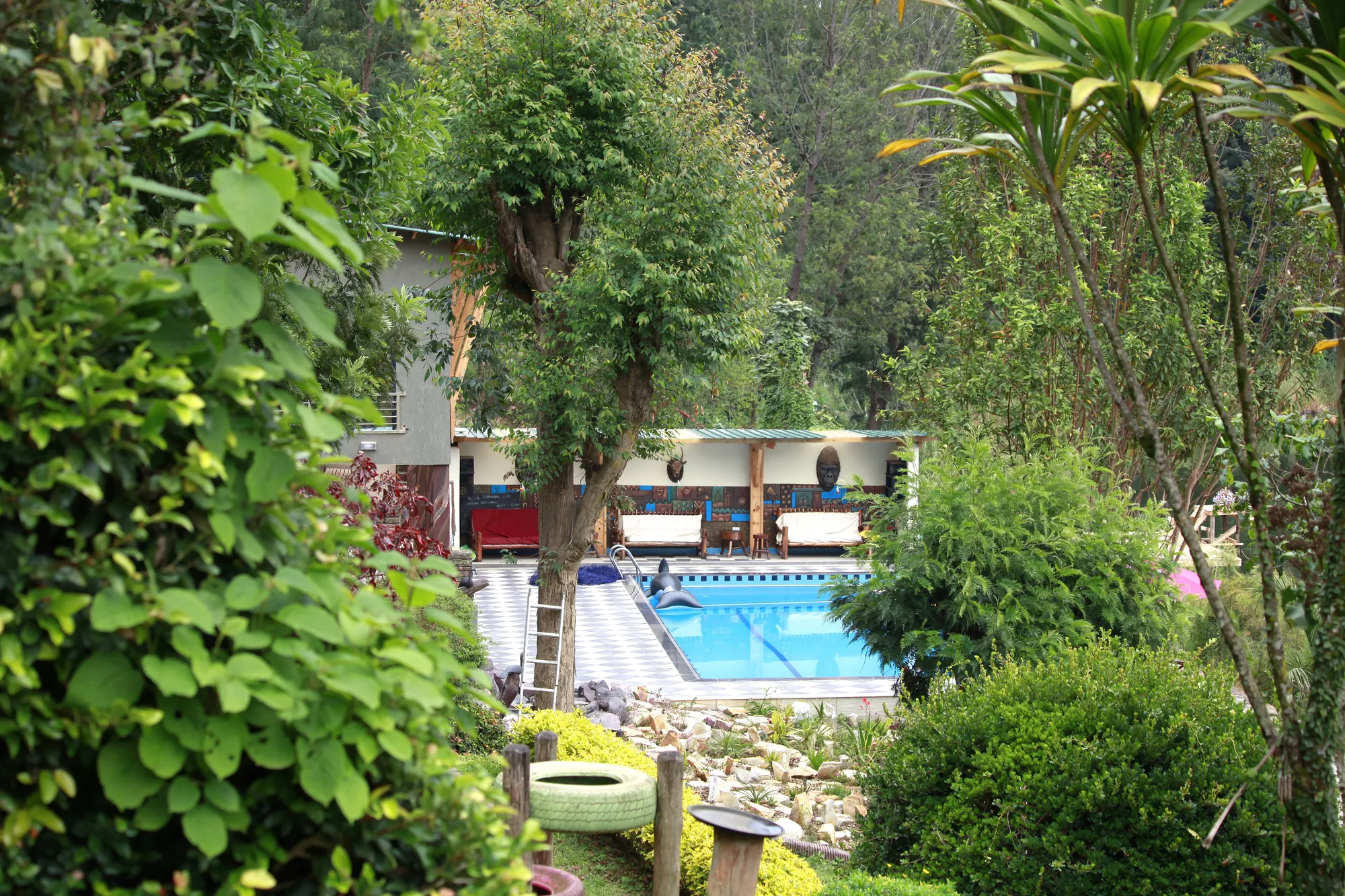 The swimming pool seen through garden foliage from higher ground