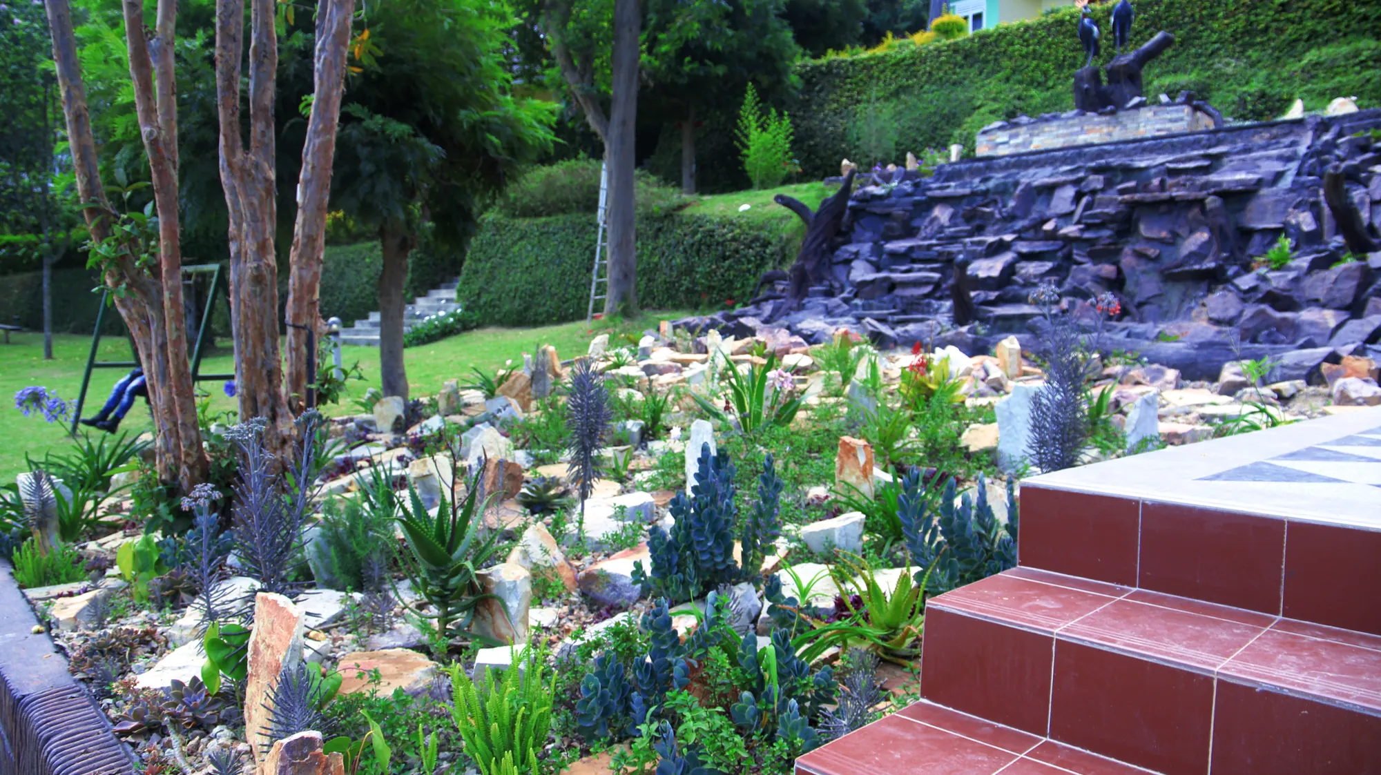 The rockery garden with succulents and stone steps lit in the late evening