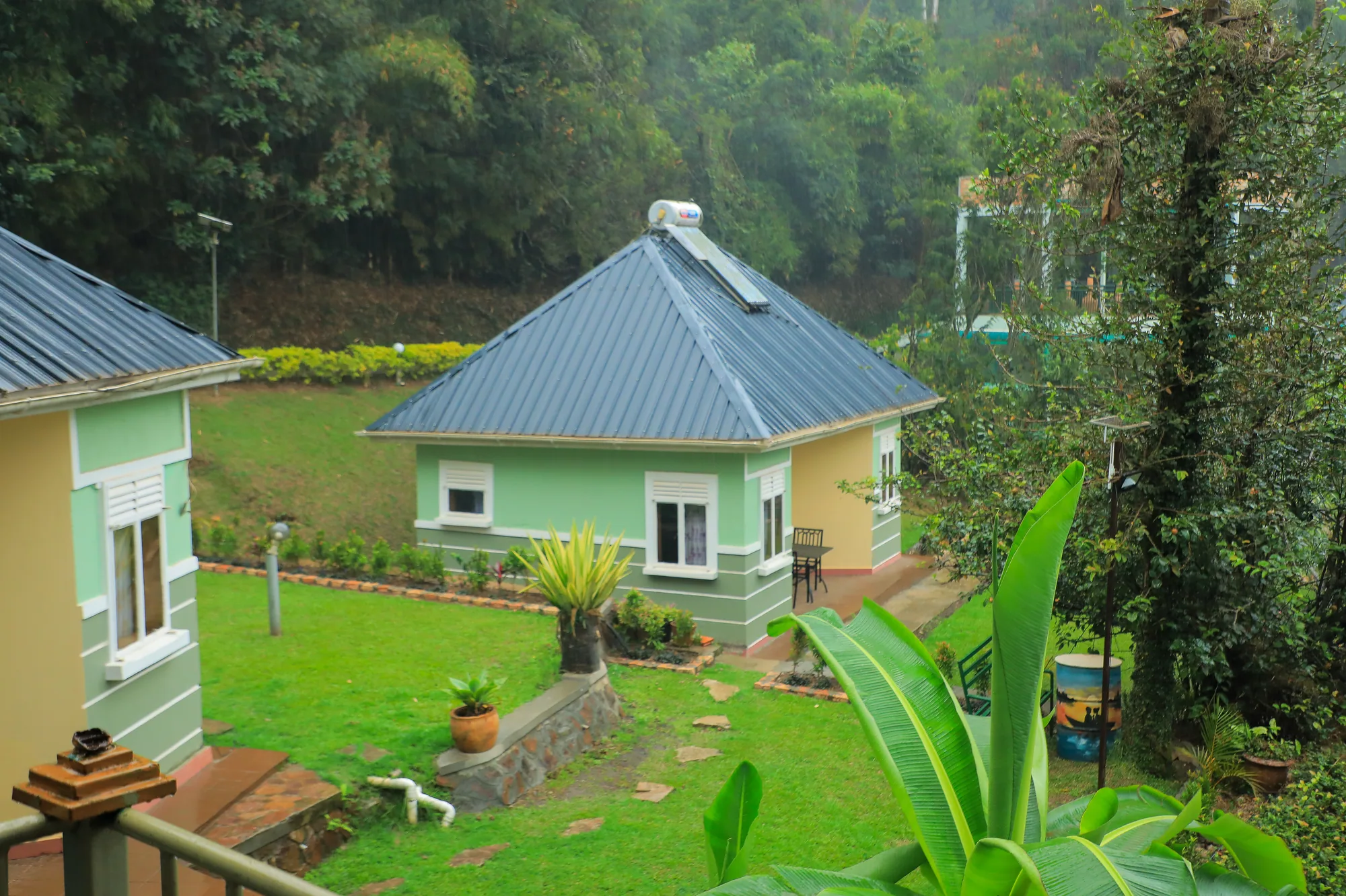 A green and cream cottage with a grey roof on a lawn planted with aloes
