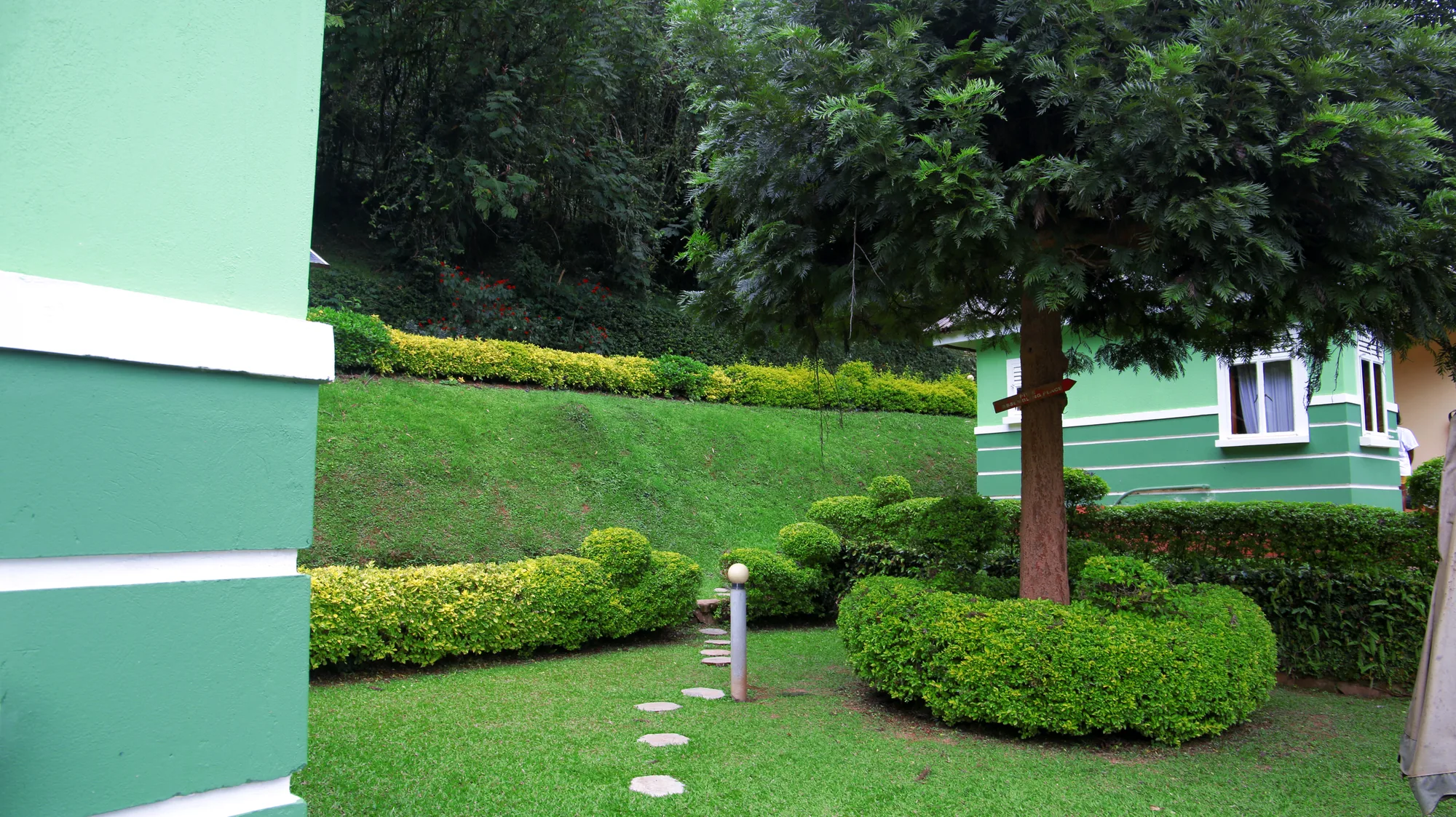 Clipped lawn, round topiary hedges and a mature tree beside a pale green resort building