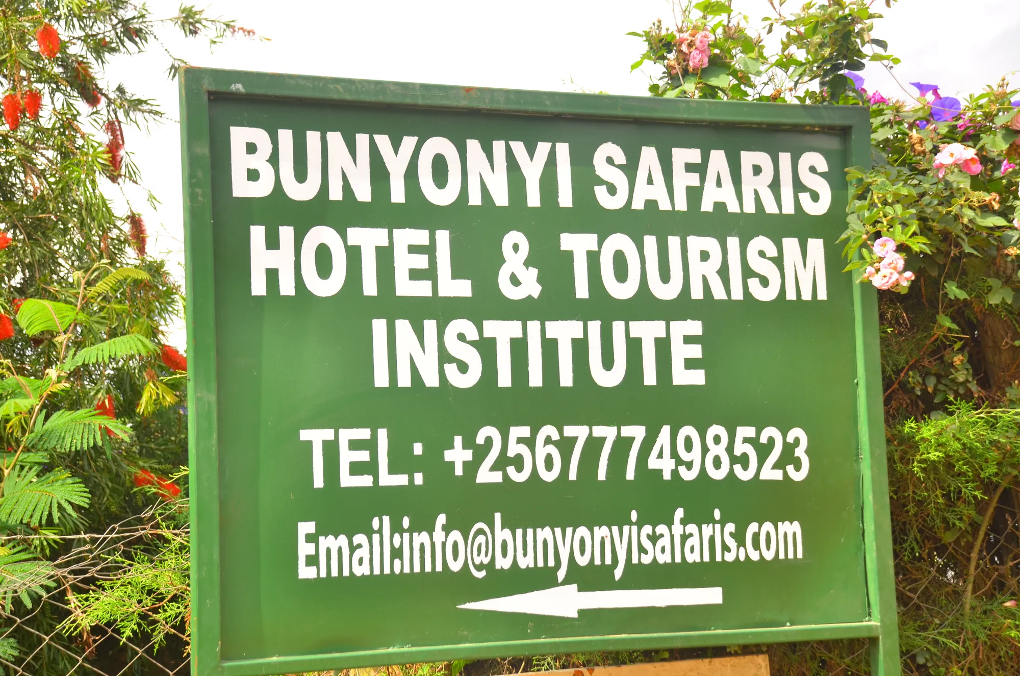 The green Bunyonyi Safaris Hotel and Tourism Institute sign board with its phone number and email