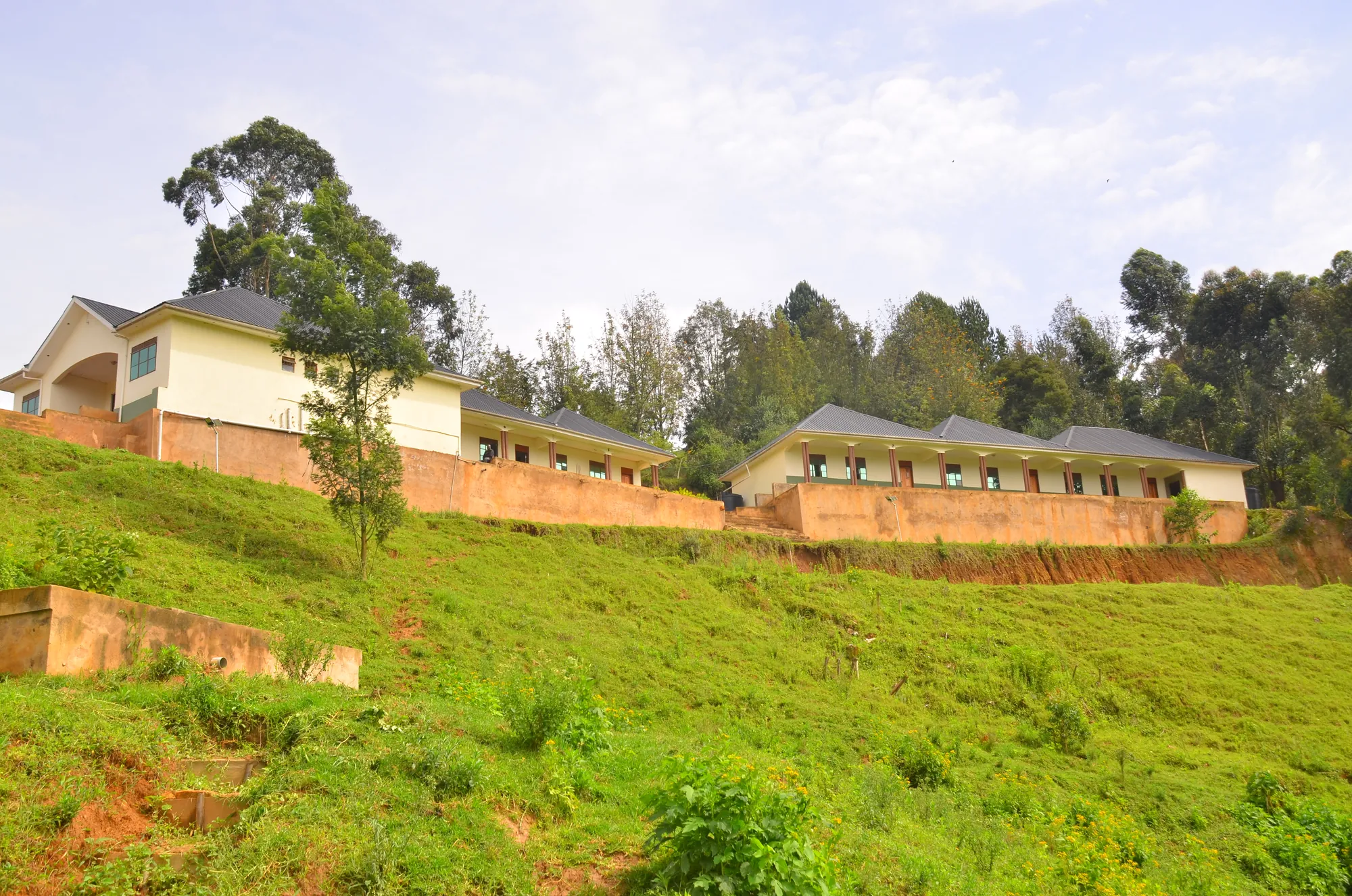 The institute buildings among trees on the slope, seen from below