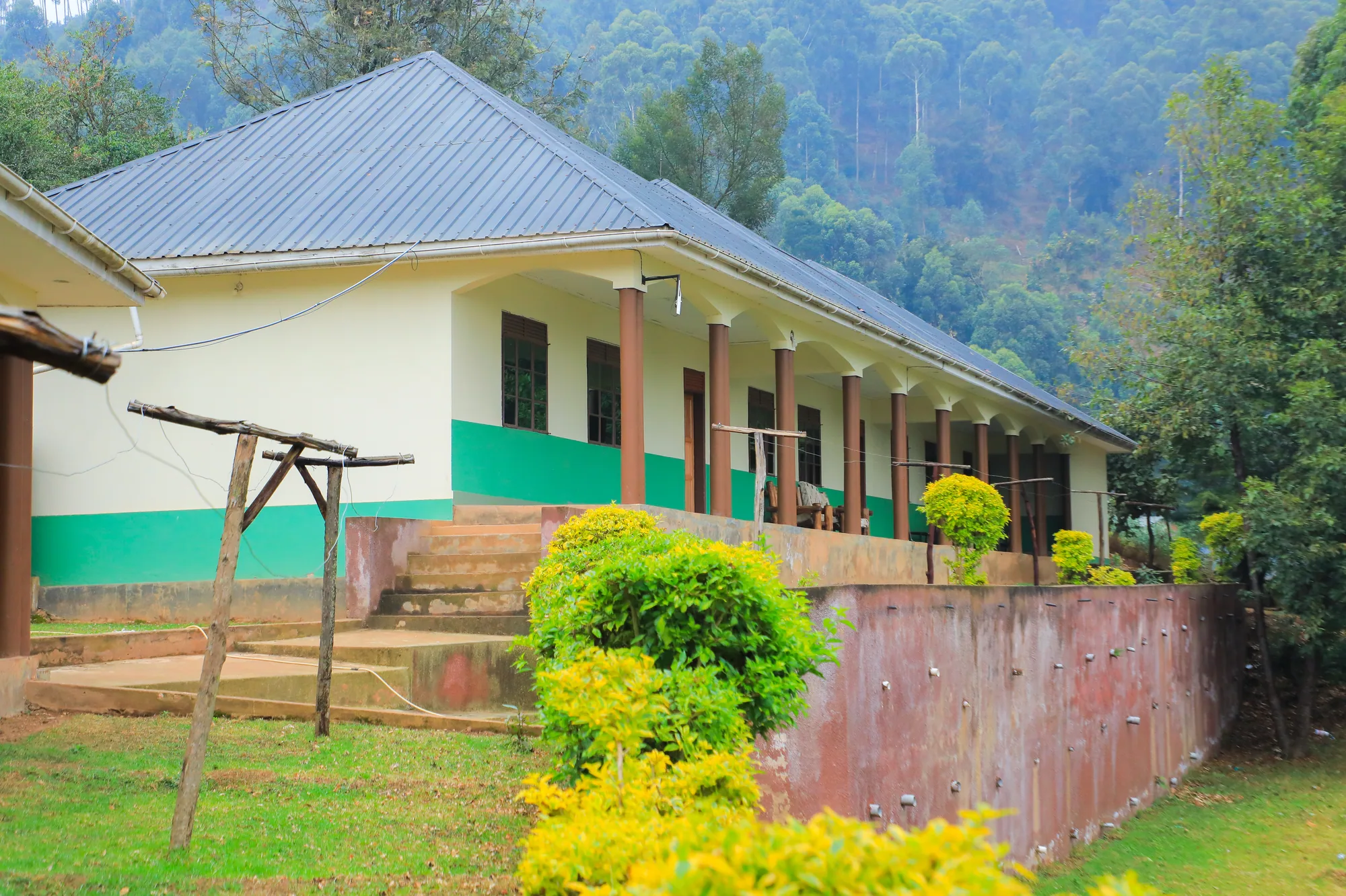 An institute block with green-trimmed walls, clipped shrubs and a flowering bush in front