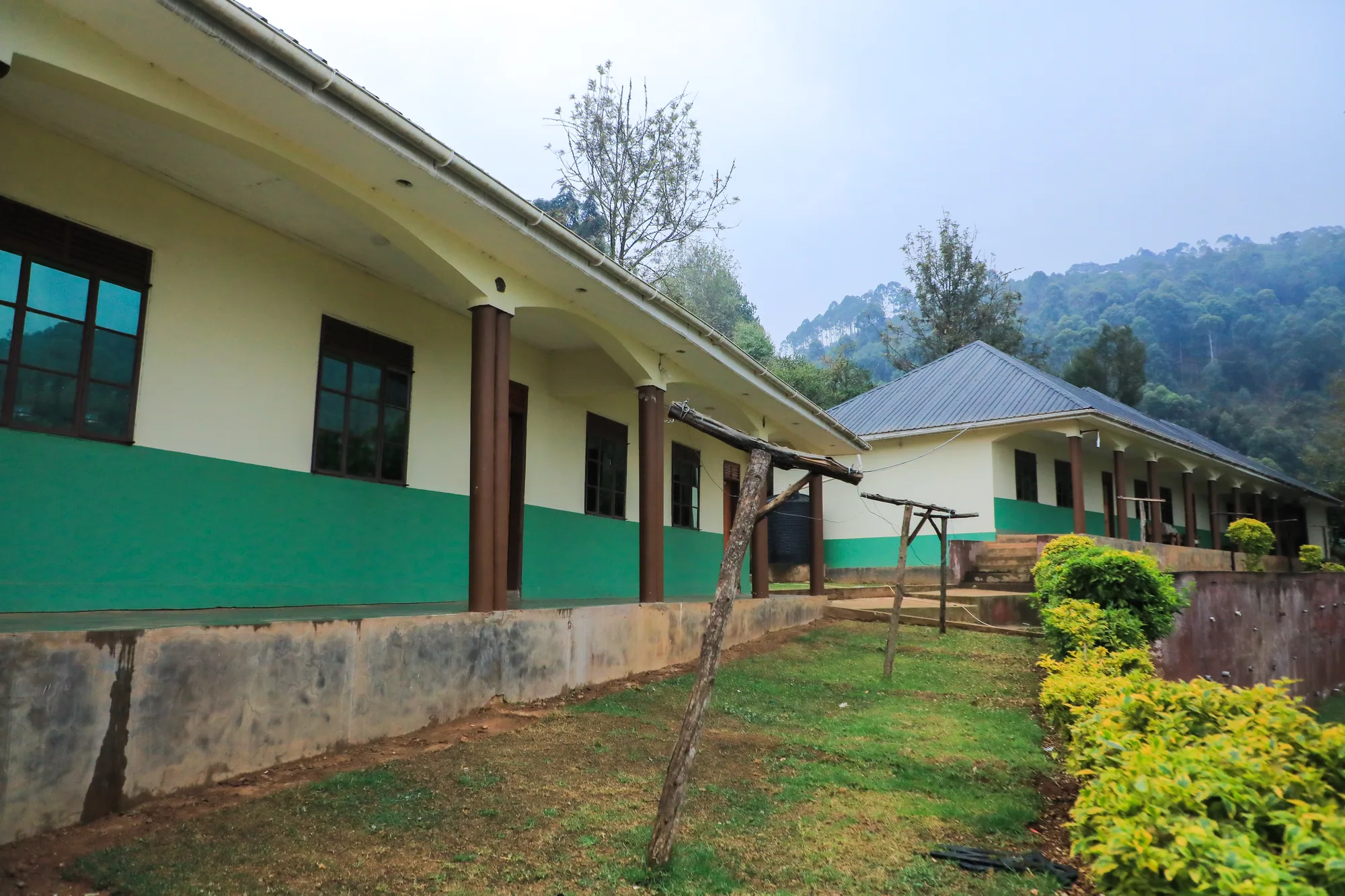 A long green and cream institute block with shrubs along its front in misty weather