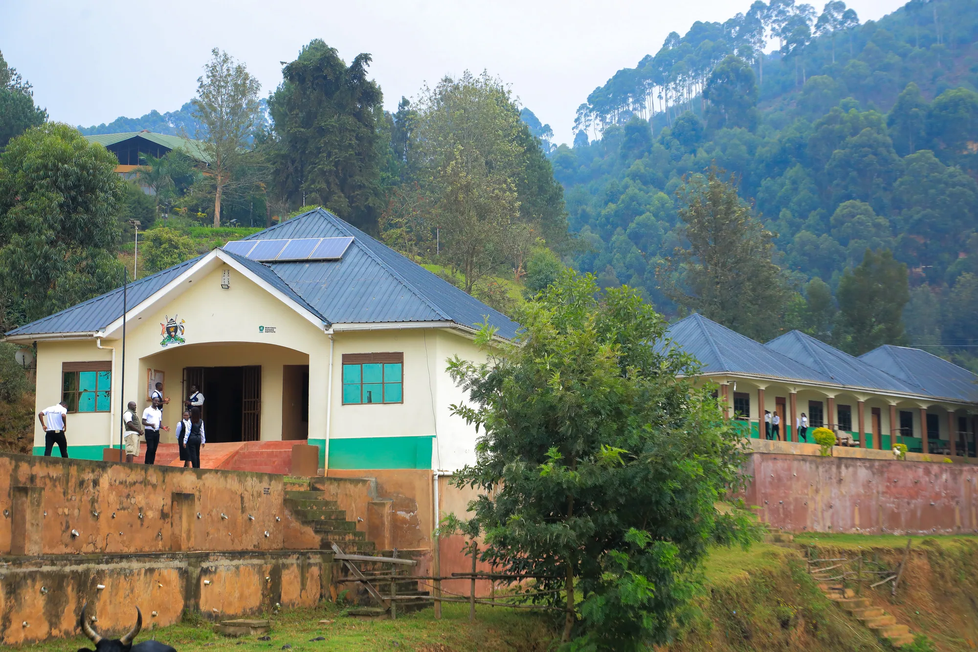 The institute entrance block and classroom range on the terraced hillside below forest