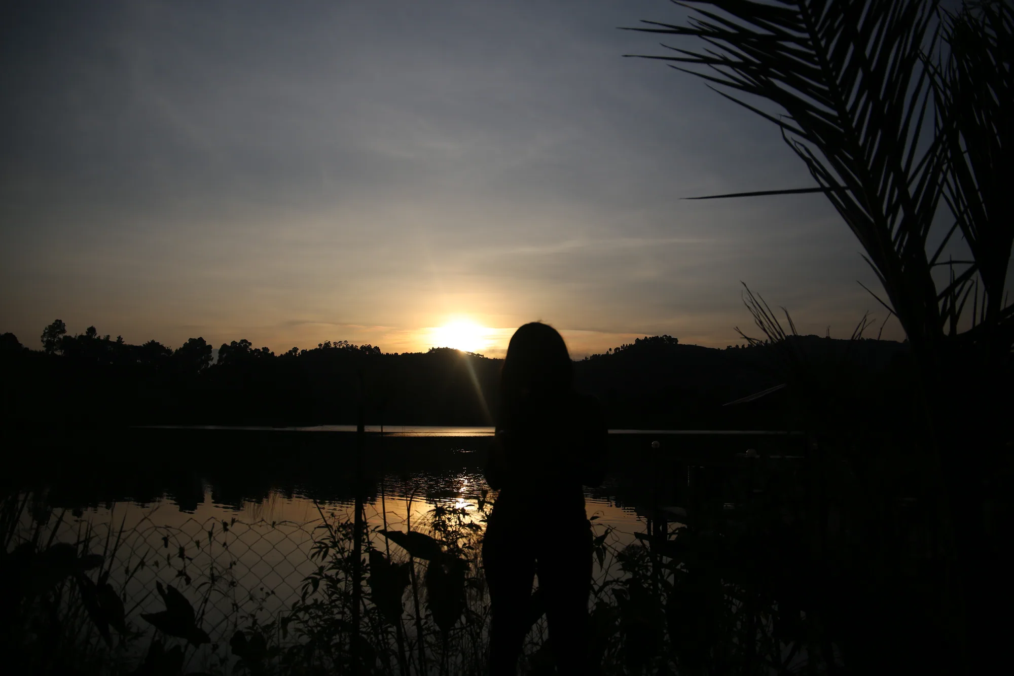Sunset over Lake Bunyonyi framed by palm fronds