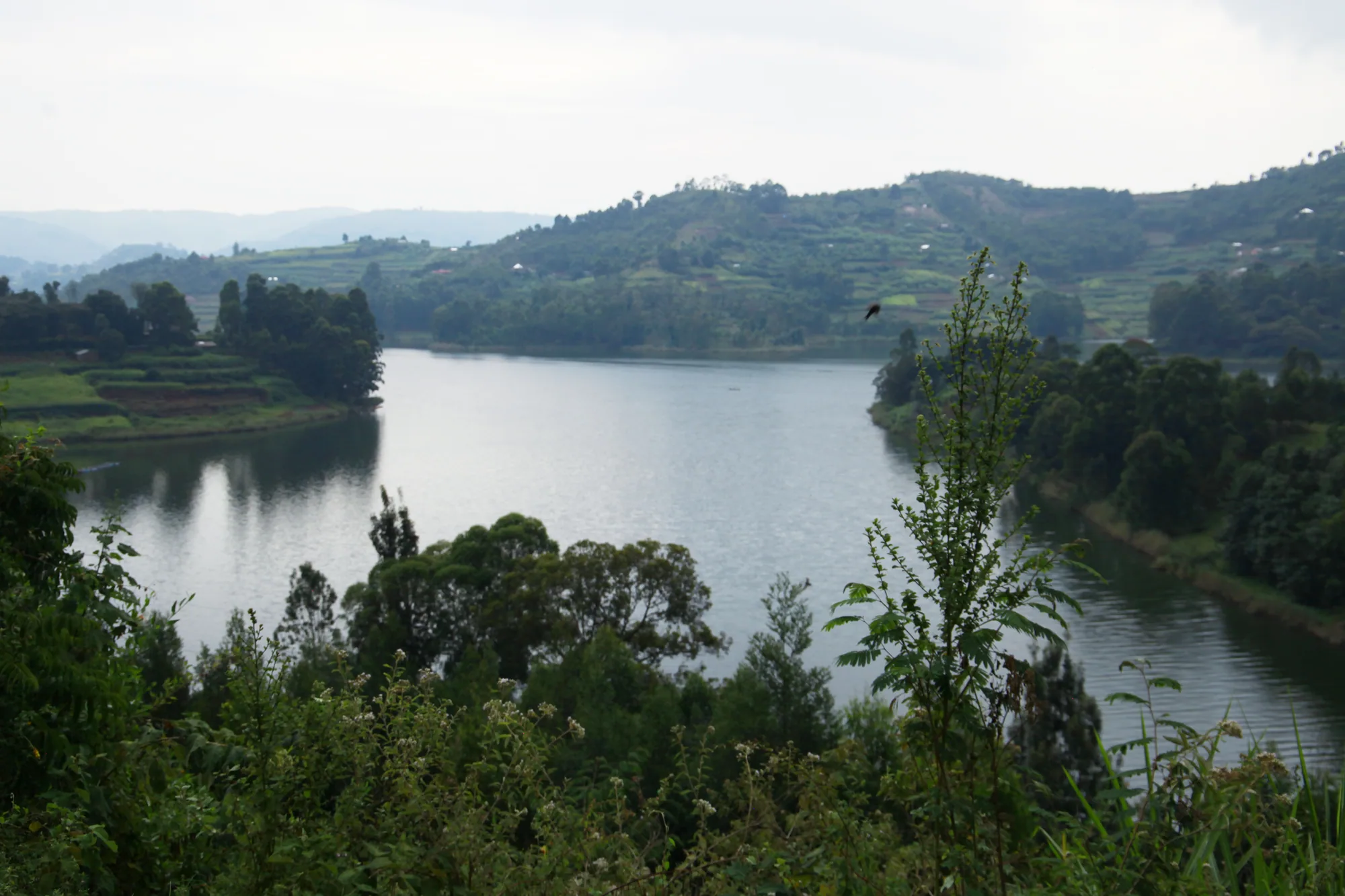 An arm of Lake Bunyonyi curving between farmed hills, seen from a high viewpoint