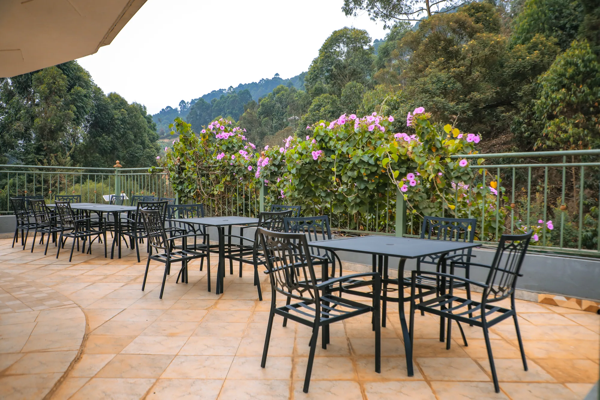 A paved terrace of black tables and chairs beside a flowering bush, the lake behind