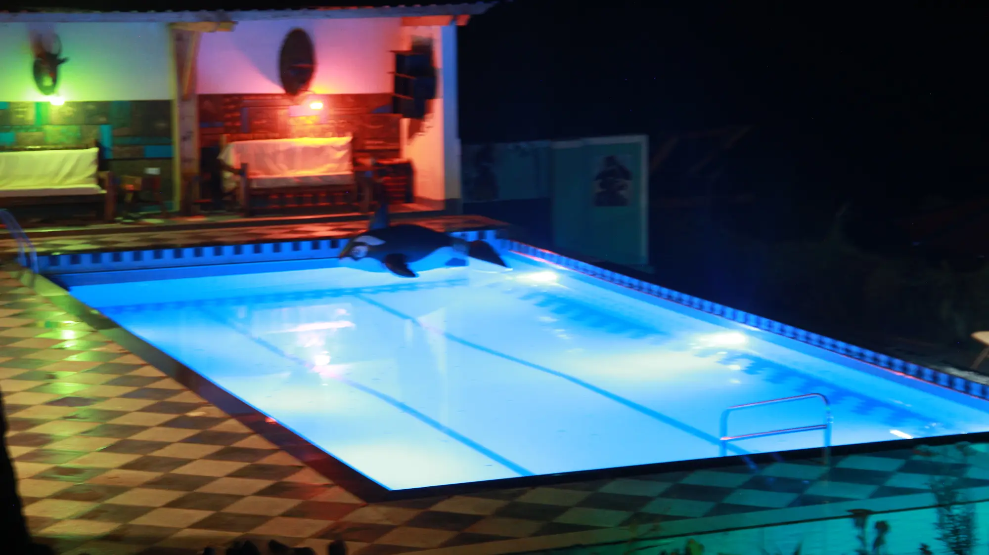 Swimming pool lit green and blue at night