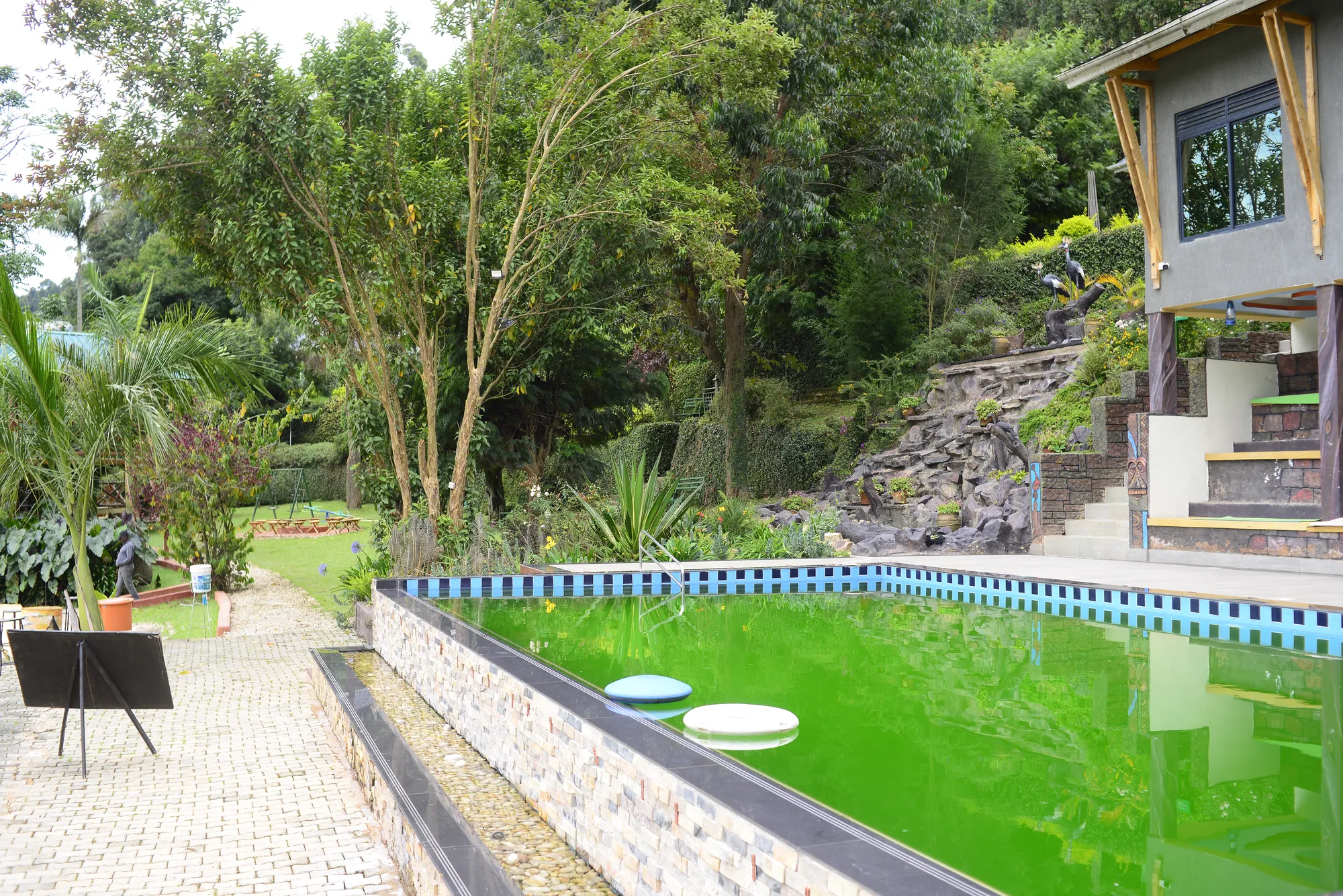 A pool of green water beside the lawn, awaiting treatment, with the lake beyond