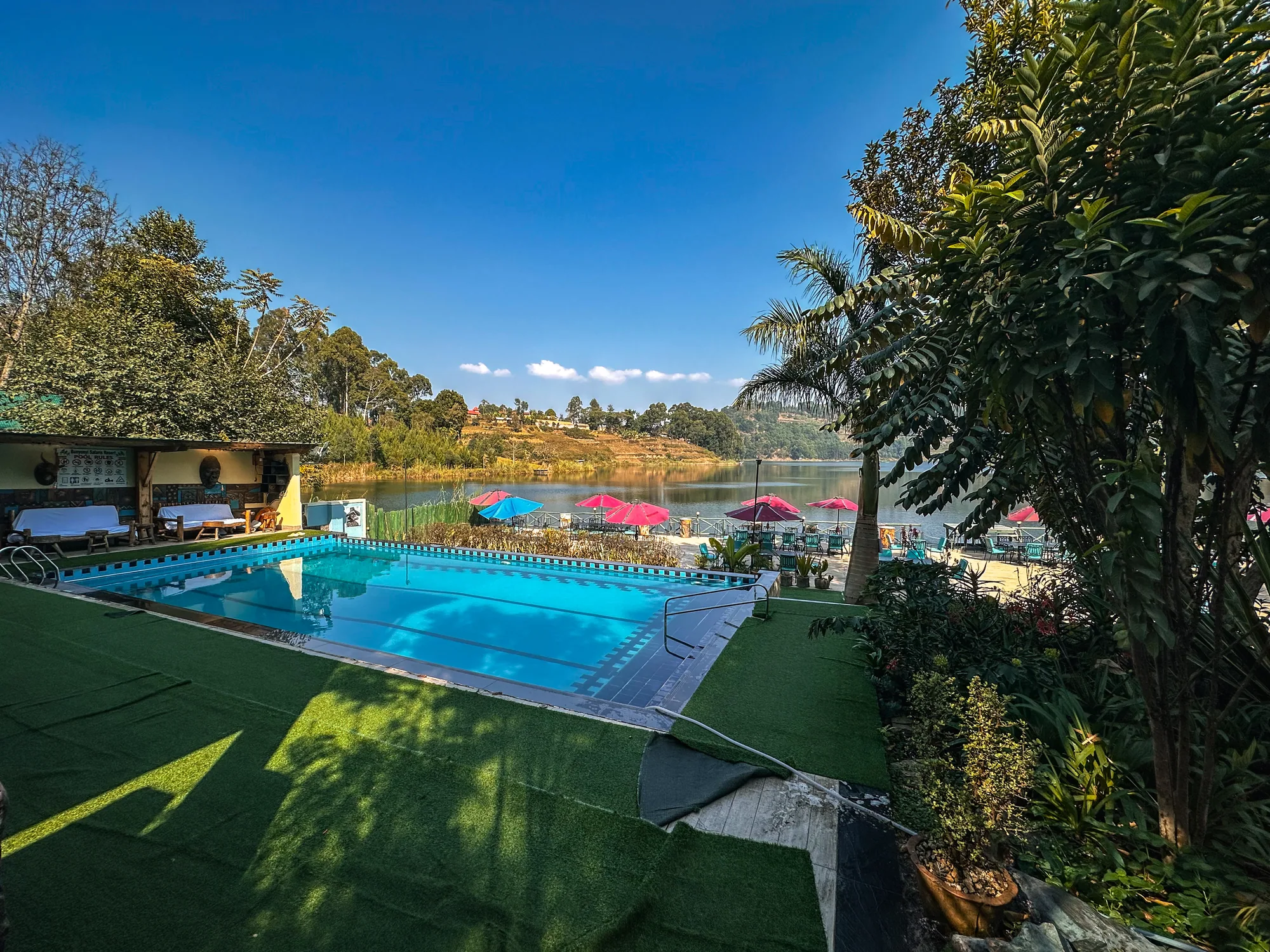 The pool with its blue water beside the lawn and the lakeside garden behind