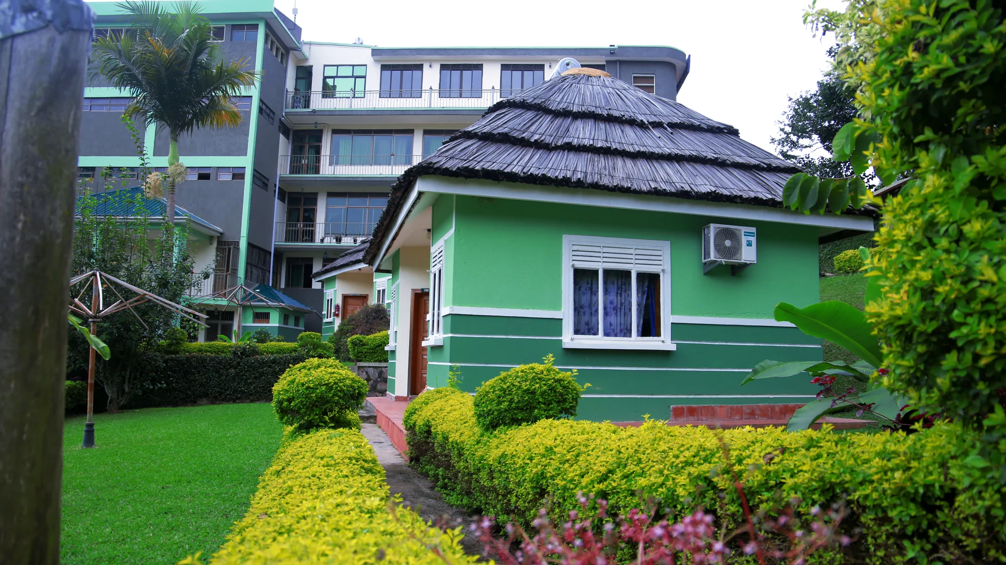 A thatched green cottage set in clipped gardens with the multi-storey hotel building behind it