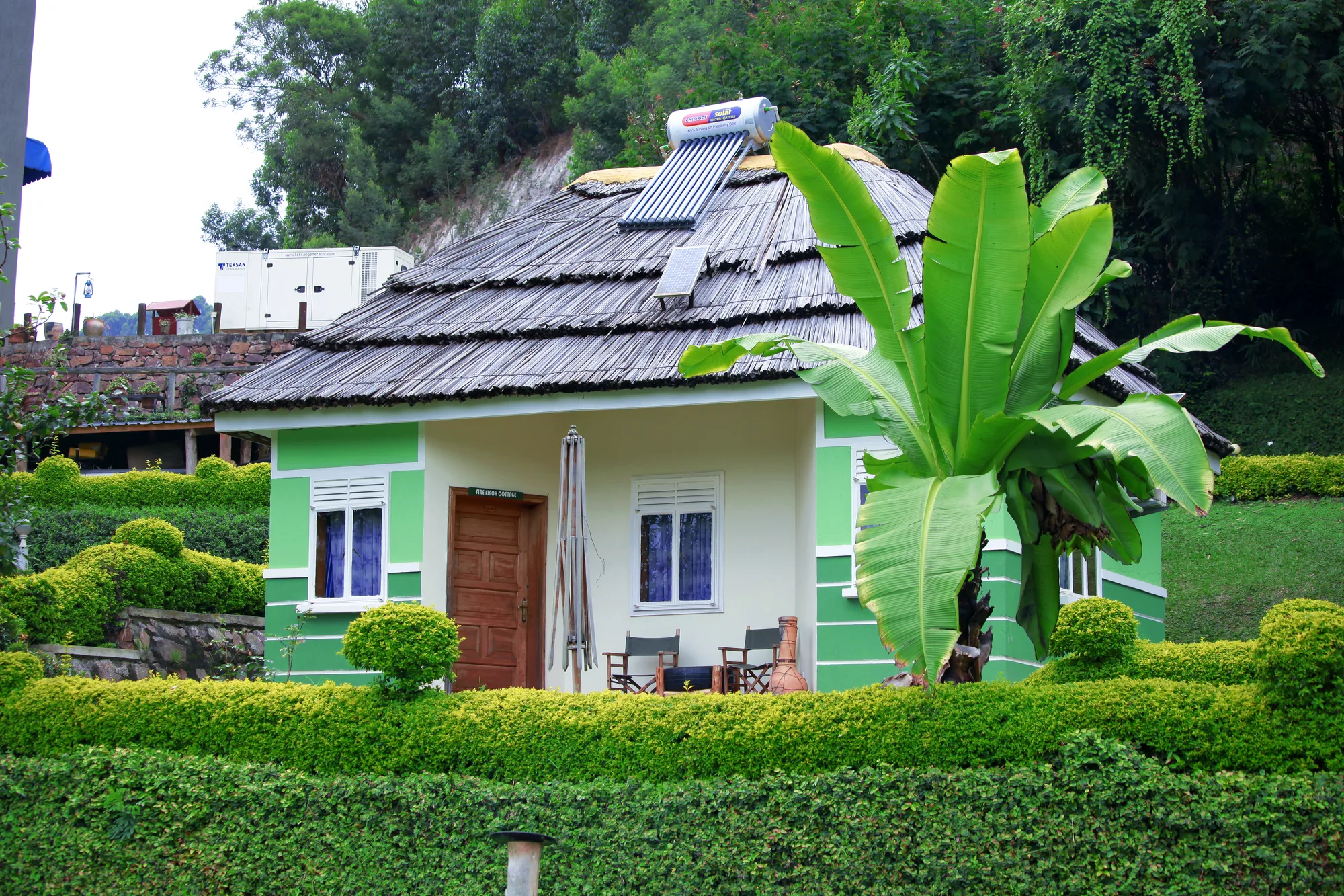 A green thatched cottage with veranda seating, banana plants and clipped hedges in front