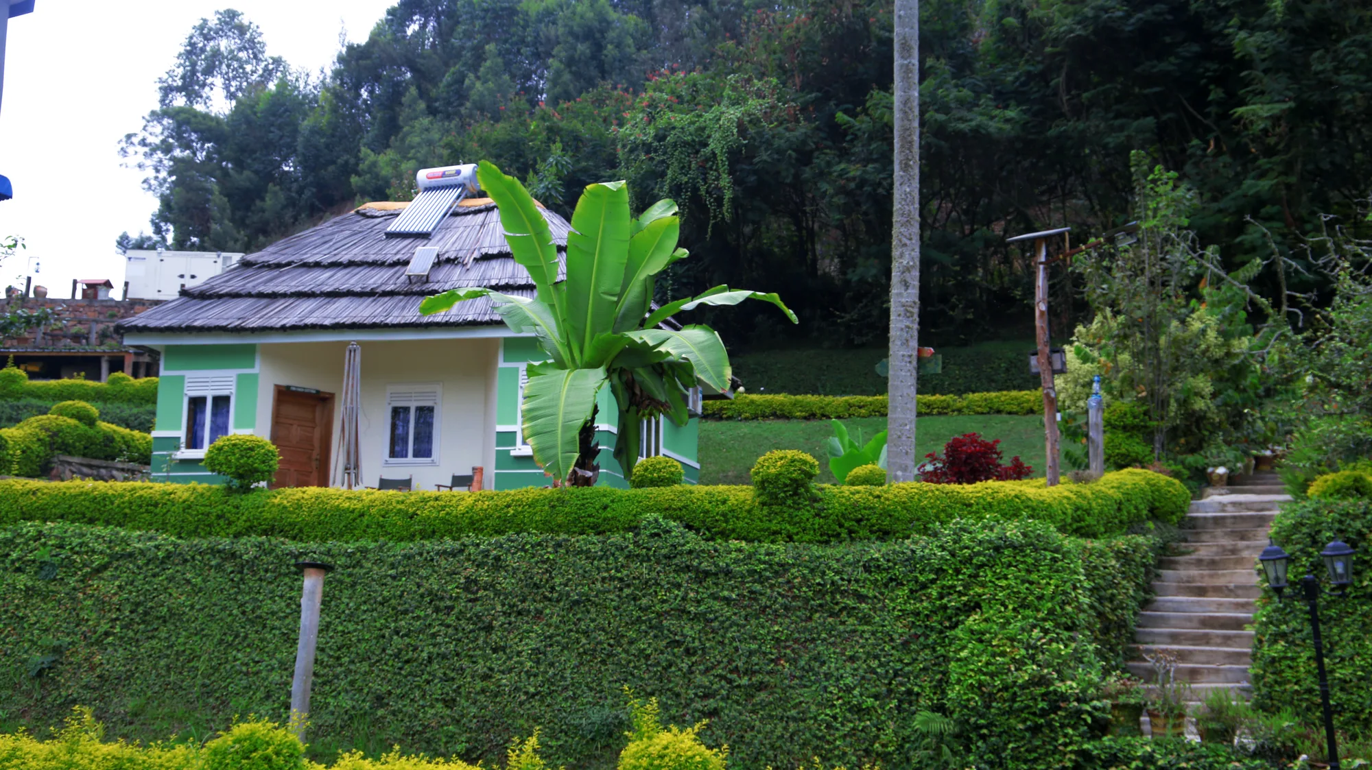 A thatched green cottage with a solar water tank on its roof, set among hedges and garden steps