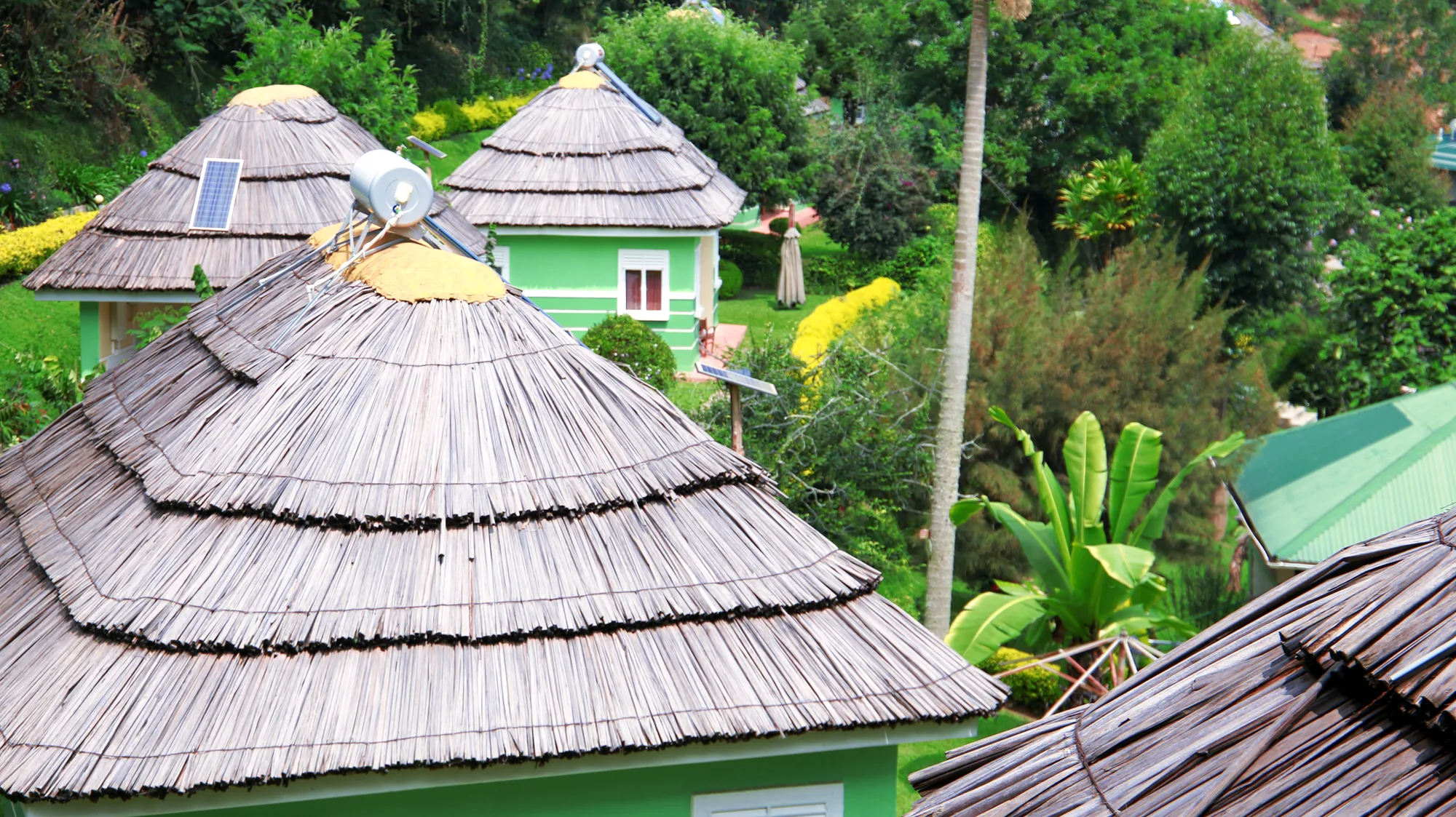 Conical thatched roofs of two green cottages seen from above the garden slope