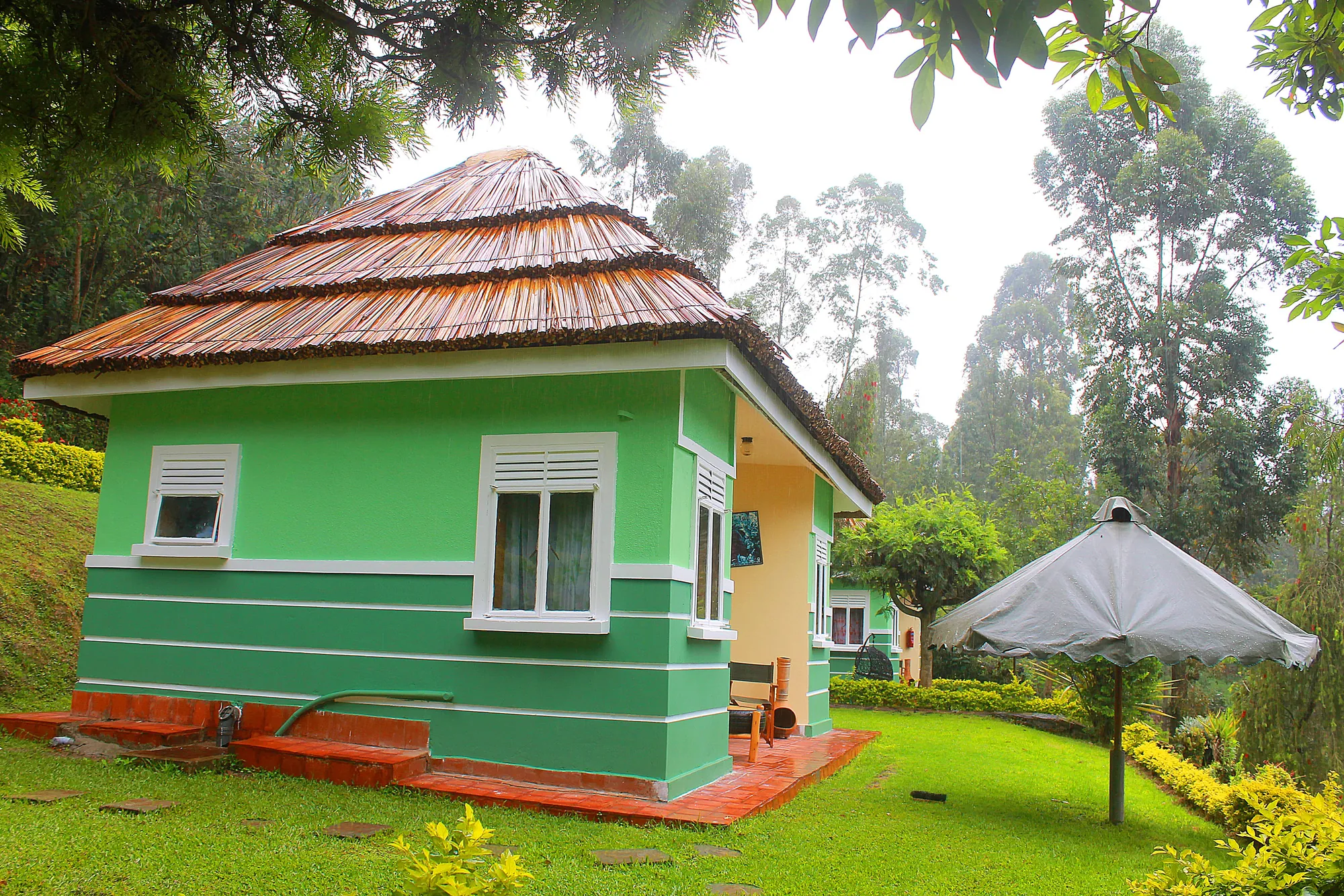 A green cottage with a closed white parasol and clipped shrubs on the lawn