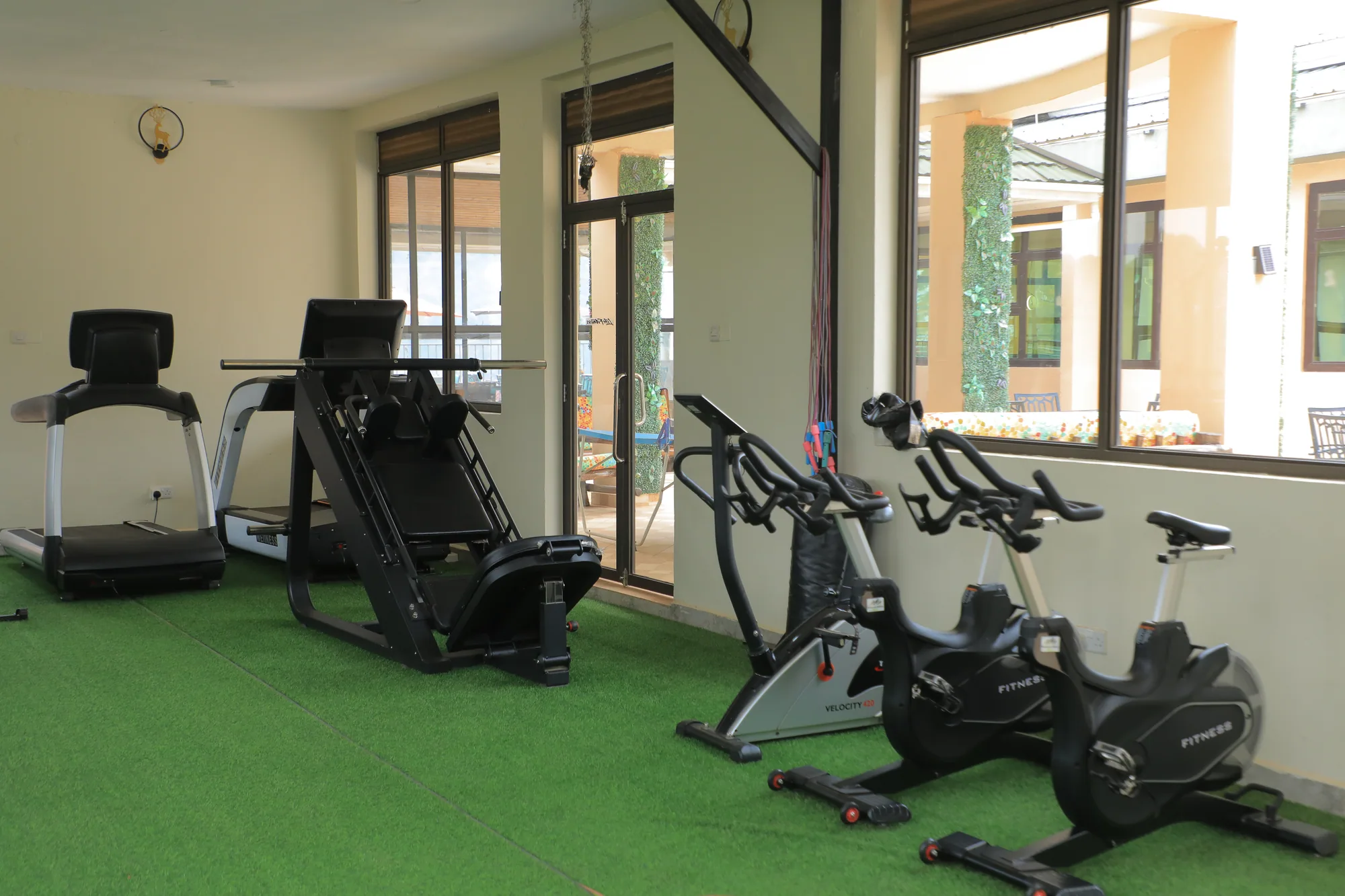 The gym with a treadmill, leg press and exercise bikes on green flooring by the windows