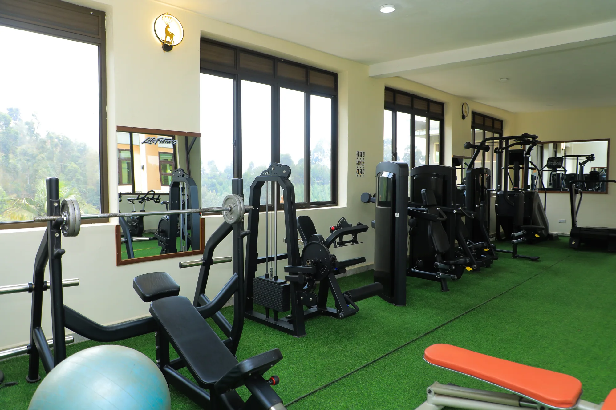 The gym seen along the windows, weight machines, bench and exercise ball